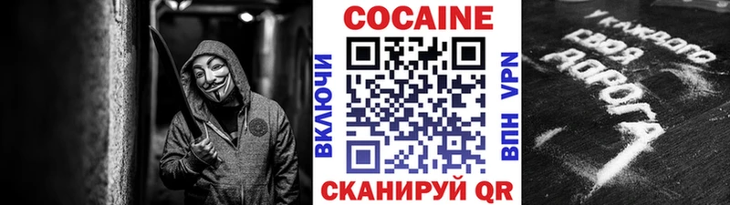 Купить  Новоалтайск  COCAIN Fish Scale 