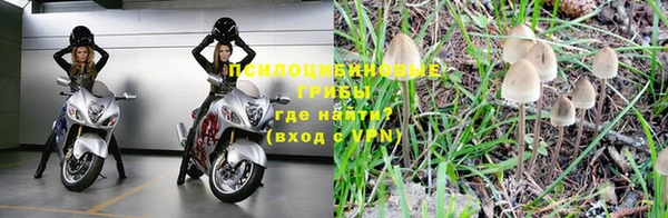 гашишное масло Гусев