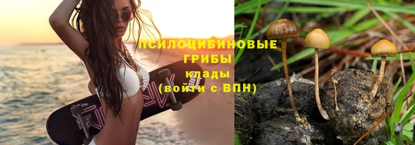крисы Гусь-Хрустальный